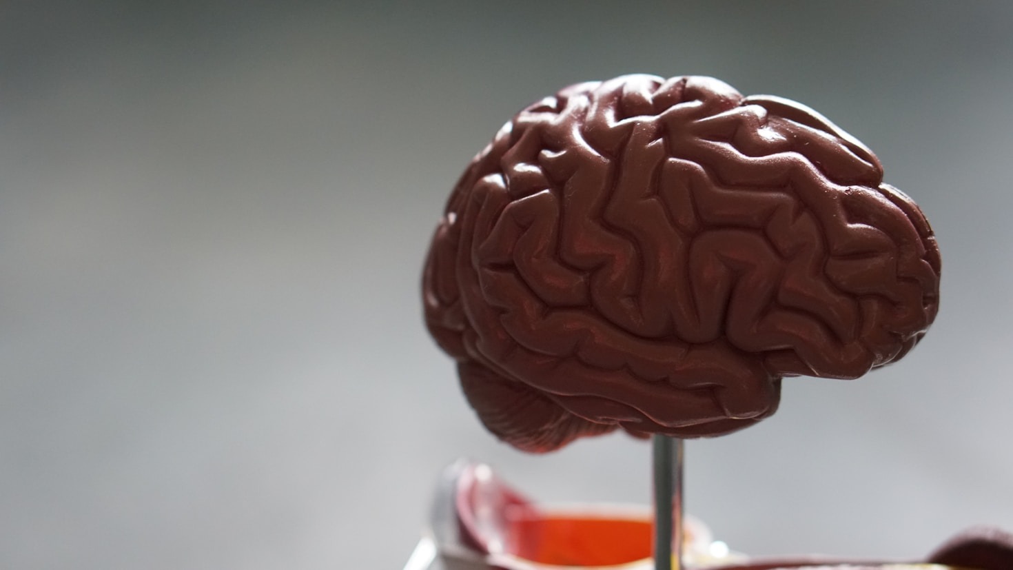 Como identificar sinais precoces de distúrbios neurológicos